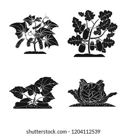 Isolated object of greenhouse and plant symbol. Collection of greenhouse and garden vector icon for stock.