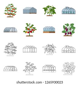 Isolated object of greenhouse and plant symbol. Collection of greenhouse and garden stock symbol for web.