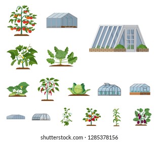 Isolated object of greenhouse and plant symbol. Collection of greenhouse and garden stock symbol for web.