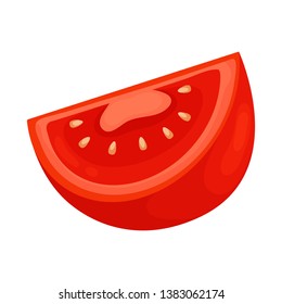 Isolated object of half and tomato sign. Set of half and slice vector icon for stock.