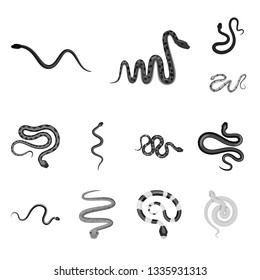 Isolated object of harm and bite icon. Set of harm and reptile vector icon for stock.