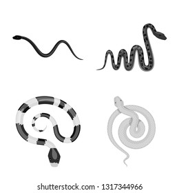 Isolated object of harm and bite sign. Collection of harm and reptile vector icon for stock.