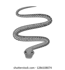 Isolated object of harm and bite symbol. Collection of harm and reptile stock vector illustration.