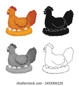 Isolated object of hen and bird symbol. Set of hen and egg stock vector illustration.