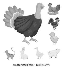 Isolated object of homestead and agriculture logo. Collection of homestead and kitchen  vector icon for stock.