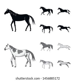 Isolated object of horse breed and equestrian logo. Collection of breed and mare stock symbol for web.