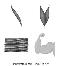 Isolated object of human and body icon. Collection of human and cells stock vector illustration.
