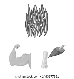 Isolated object of human and body logo. Collection of human and cells stock vector illustration.