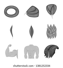 Isolated object of human and body sign. Set of human and cells stock symbol for web.