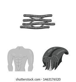 Isolated object of human and body sign. Collection of human and cells stock symbol for web.