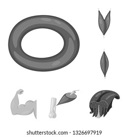 Isolated object of human and body symbol. Collection of human and cells stock vector illustration.