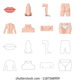 Isolated object of human and part icon. Collection of human and woman vector icon for stock.