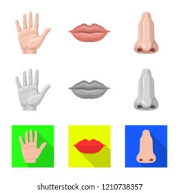 Isolated object of human and part icon. Collection of human and woman vector icon for stock.