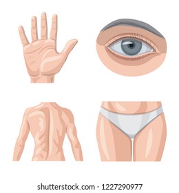 Isolated object of human and part icon. Set of human and woman stock vector illustration.