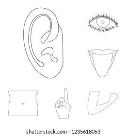 Isolated object of human and part icon. Set of human and woman stock vector illustration.