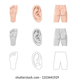 Isolated object of human and part icon. Collection of human and woman stock symbol for web.