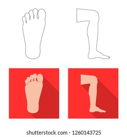 Isolated object of human and part icon. Collection of human and woman vector icon for stock.