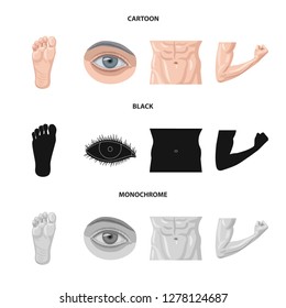 Isolated object of human and part icon. Collection of human and woman vector icon for stock.