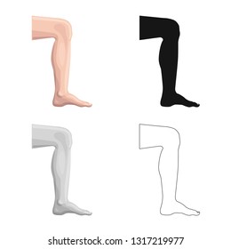 Isolated object of human and part icon. Collection of human and woman stock symbol for web.