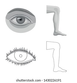 Isolated object of human and part icon. Collection of human and woman vector icon for stock.