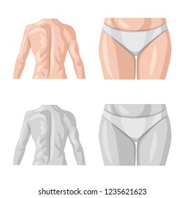 Isolated object of human and part logo. Set of human and woman stock vector illustration.