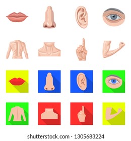Isolated object of human and part logo. Collection of human and woman stock vector illustration.