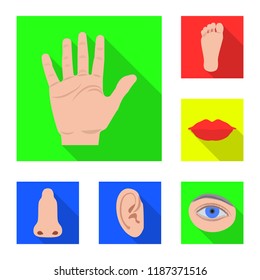 Isolated object of human and part sign. Set of human and woman vector icon for stock.