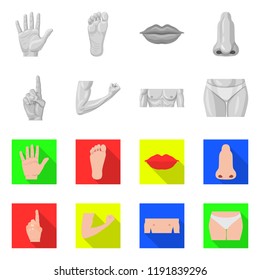 Isolated object of human and part sign. Set of human and woman stock symbol for web.
