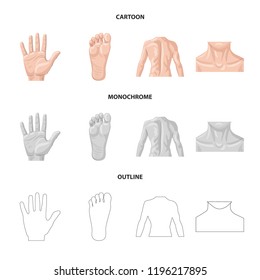 Isolated object of human and part sign. Set of human and woman vector icon for stock.