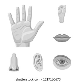 Isolated object of human and part sign. Collection of human and woman vector icon for stock.