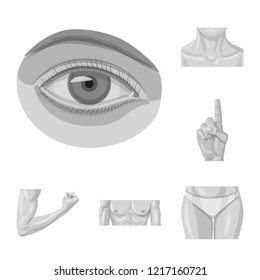 Isolated object of human and part sign. Collection of human and woman vector icon for stock.