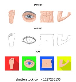 Isolated object of human and part sign. Set of human and woman stock symbol for web.