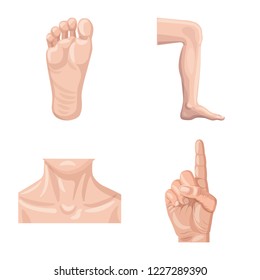 Isolated object of human and part sign. Collection of human and woman stock symbol for web.