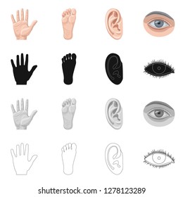 Isolated object of human and part sign. Collection of human and woman stock vector illustration.