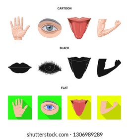 Isolated object of human and part sign. Collection of human and woman stock vector illustration.