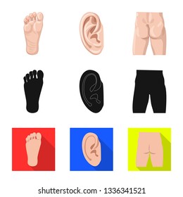 Isolated object of human and part sign. Set of human and woman stock vector illustration.