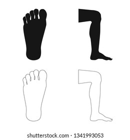 Isolated object of human and part sign. Set of human and woman vector icon for stock.