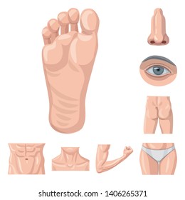 Isolated object of human and part sign. Collection of human and woman stock symbol for web.