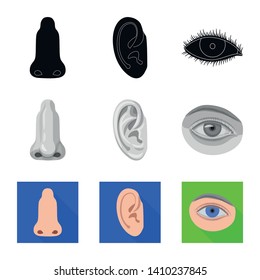 Isolated object of human and part sign. Collection of human and woman stock symbol for web.