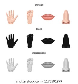 Isolated object of human and part symbol. Collection of human and woman vector icon for stock.