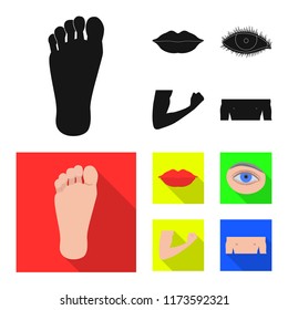 Isolated object of human and part symbol. Collection of human and woman stock vector illustration.