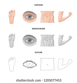 Isolated object of human and part symbol. Collection of human and woman stock symbol for web.