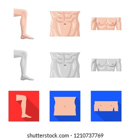 Isolated object of human and part symbol. Set of human and woman stock symbol for web.