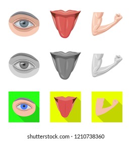 Isolated object of human and part symbol. Set of human and woman vector icon for stock.