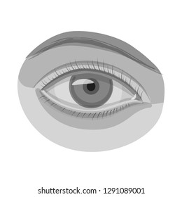 Isolated object of human and part symbol. Set of human and woman stock vector illustration.