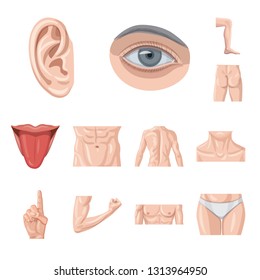 Isolated object of human and part symbol. Collection of human and woman vector icon for stock.