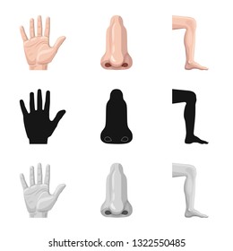Isolated object of human and part symbol. Collection of human and woman stock symbol for web.
