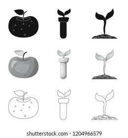 Isolated object of  and  icon. Collection of  and  stock symbol for web.