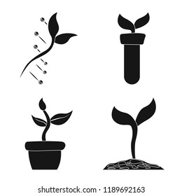 Isolated object of  and  icon. Set of  and  stock vector illustration.