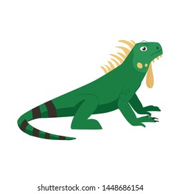 Isolated object of iguana and lizard icon. Set of iguana and colorful vector icon for stock.